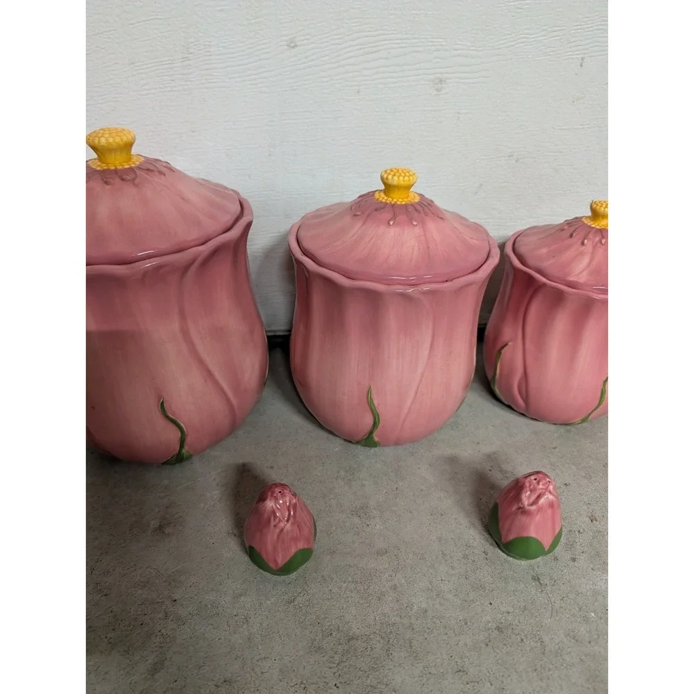 Franciscan Desert Rose Canister Set of 3 different sizes & Shakers.Nos.5 Pieces